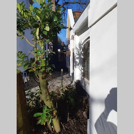 Oranjerie, 7 Km Onder Groningen Διαμέρισμα Paterswolde Εξωτερικό φωτογραφία