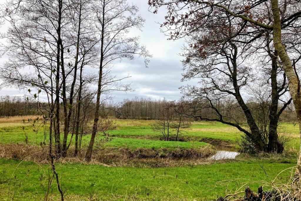 Oranjerie, 7 Km Onder Groningen Διαμέρισμα Paterswolde Εξωτερικό φωτογραφία